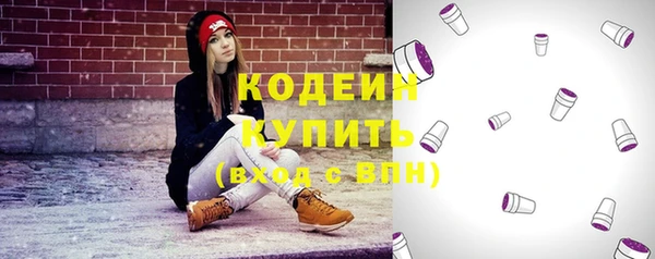 шишки Абаза