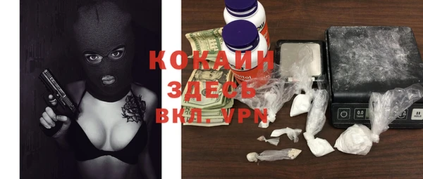 шишки Абаза