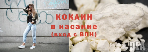 шишки Абаза