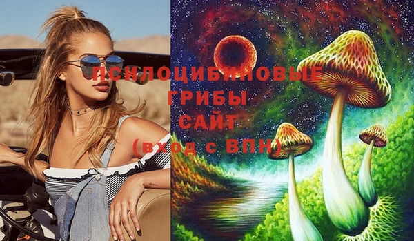 шишки Абаза