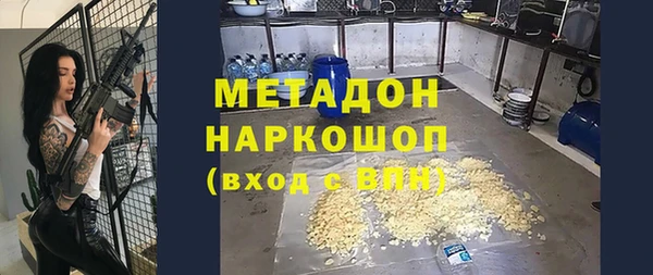 шишки Абаза