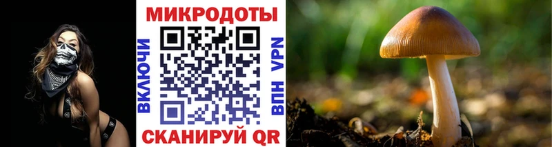 Галлюциногенные грибы MAGIC MUSHROOMS  Новотитаровская 